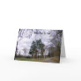 Walk Through The Forest Cards