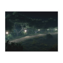 Walk Through The Woods 2009 Postcard