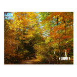 walk with me, OHIO Post Card
