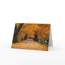 Walking Down Autumn's Memory Lane