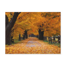 Walking Down Autumn's Memory Lane