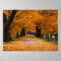 Walking Down Autumn's Memory Lane