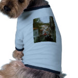 Walking down the mountain side in Taxco Pet T Shirt