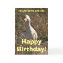 Walking Duck Card
