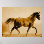 Walking Horse Poster Print