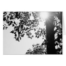 Walking in the Sun note card w/envelop