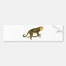 Walking Leopard Bumper Sticker