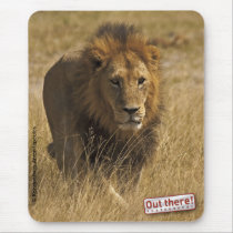 Walking male lion mousepads