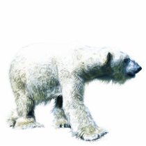 Walking POLAR BEAR (sculpted) Wildlife Magnet Photo Sculpture