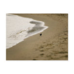 Walking Postcards