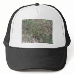 WALKING STICK BUG MESH HAT