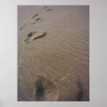 Walking the Beach Poster