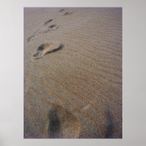 Walking the Beach Poster