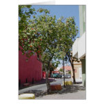 Walking the Streets of Curacao Greeting Cards
