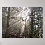 Walking through the clouds print