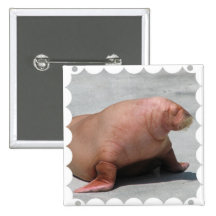 Walking Walrus Button