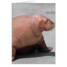 Walking Walrus Greeting Card