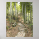 Walking with Bamboo Print