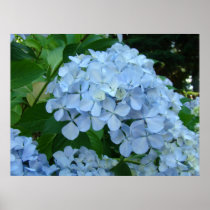 WALL ART Floral Hydrangea Flowers Baslee Troutman