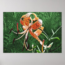 Wall Decor Poster