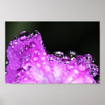 Wall Decor Poster