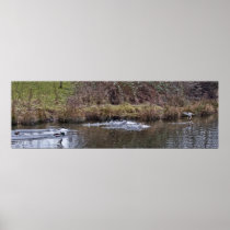 Wall Decor Poster