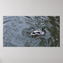 Wall Decor Poster