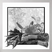 Wall Decor Poster