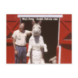 Wall Drug South Dakota Stuffed Rabbit 1962 Card