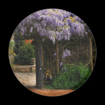 Wall of Wisteria magnets