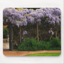 Wall of Wisteria mousepads