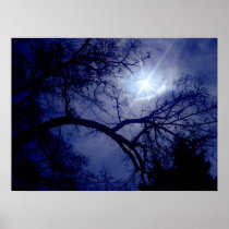 Wall Size Tree Silhouette Poster