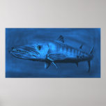 WALL SIZED--Huge Sized Blue Barracuda