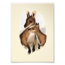Wallaby Mother and Baby (painting)