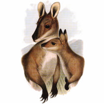 Wallaby Mother and Baby (painting)