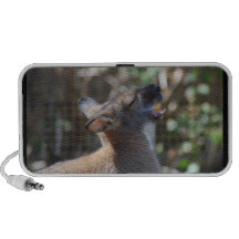 Wallaby Travelling Speaker