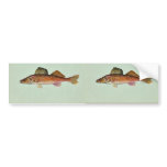 Walleye bumper stickers