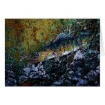 WALLEYE cards