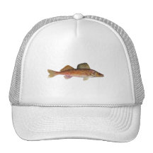 Walleye Mesh Hat