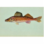 Walleye photo sculptures
