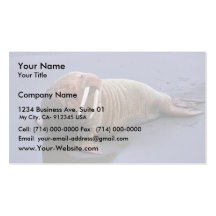 Walrus at Togiak National Wildlife Refuge Business Card