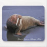 Walrus at Togiak National Wildlife Refuge Mouse Pads