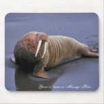 Walrus at Togiak National Wildlife Refuge Mouse Pads