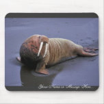 Walrus at Togiak National Wildlife Refuge Mousepads