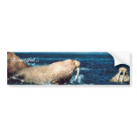 Walrus Bumper Stickers
