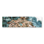 Walrus Bumper Stickers