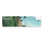 Walrus Bumper Sticker