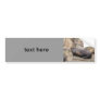 Walrus Bumper Stickers