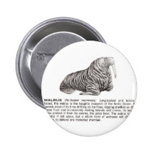 walrus buttons
