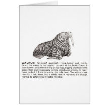 walrus cards